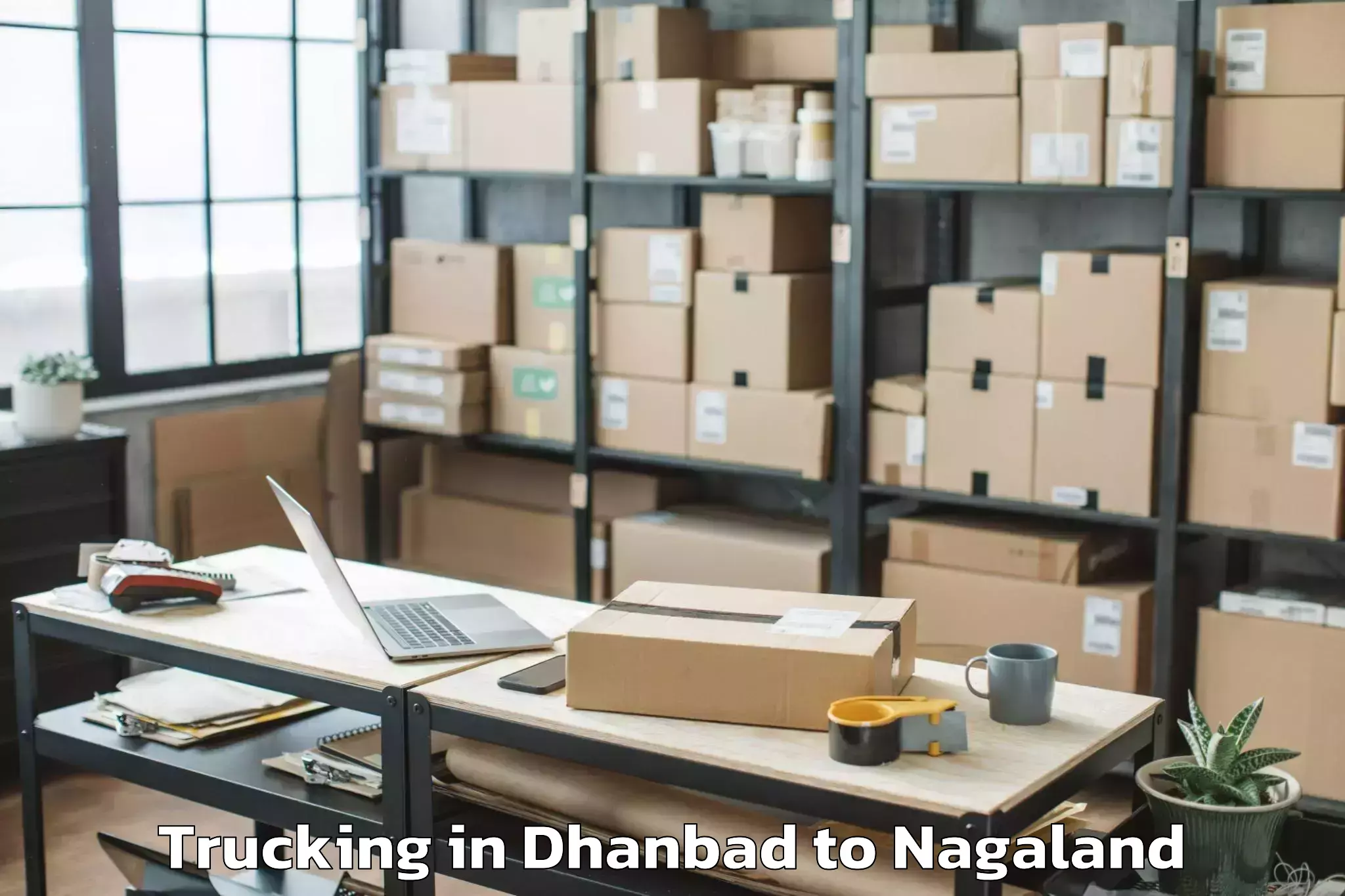 Easy Dhanbad to Kubolong Trucking Booking